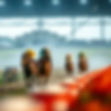 Understanding betting systems in horse racing