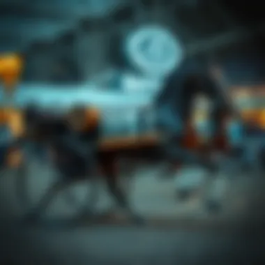 Historical evolution of equestrian machines