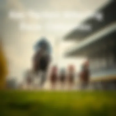 Factors influencing race outcomes