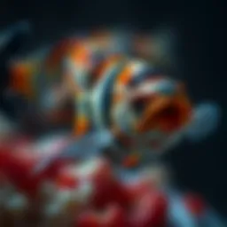 Symbolic representation of fish dreams and their meanings