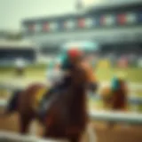 Analysis of horse racing odds