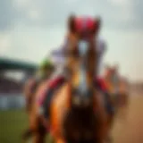 Insightful analysis of horse racing betting trends