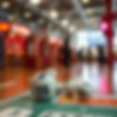 An informative guide on lottery systems