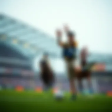 Essential tips for successful betting experiences