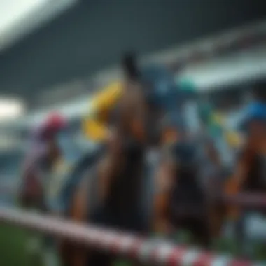 Types of horse racing events