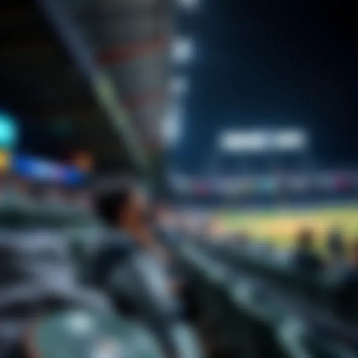 User experience at Yeoksam Baseball Stadium